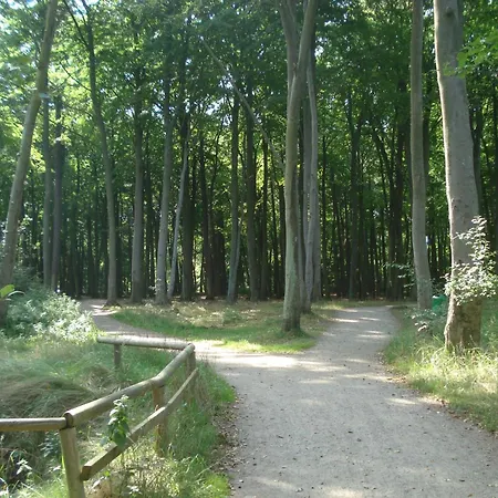 Fürstenhof - Harmonie *